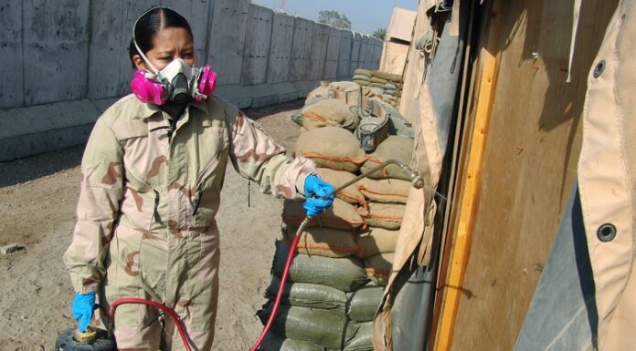 10 Simple Tricks To Find An Efficient Pest Controller In Boise Pest Controller