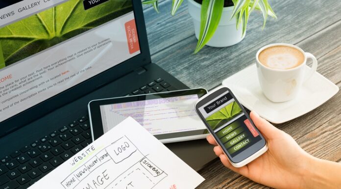 Fixing Broken Links to Improve Your Pest Control Website’s SEO Website’s SEO